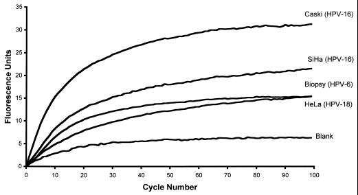 FIG. 6