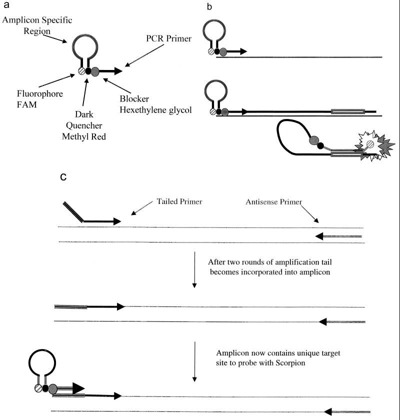 FIG. 1