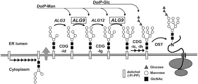 Figure  2