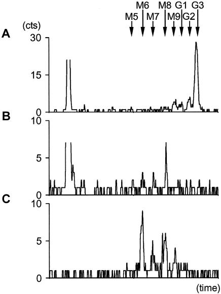 Figure  1