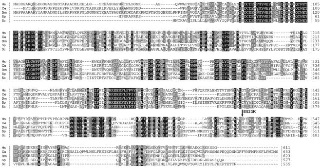 Figure  3