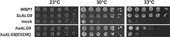 Figure  4