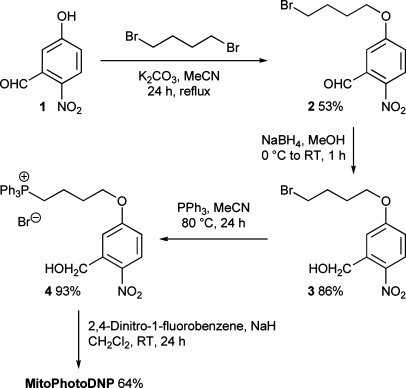 Scheme 1