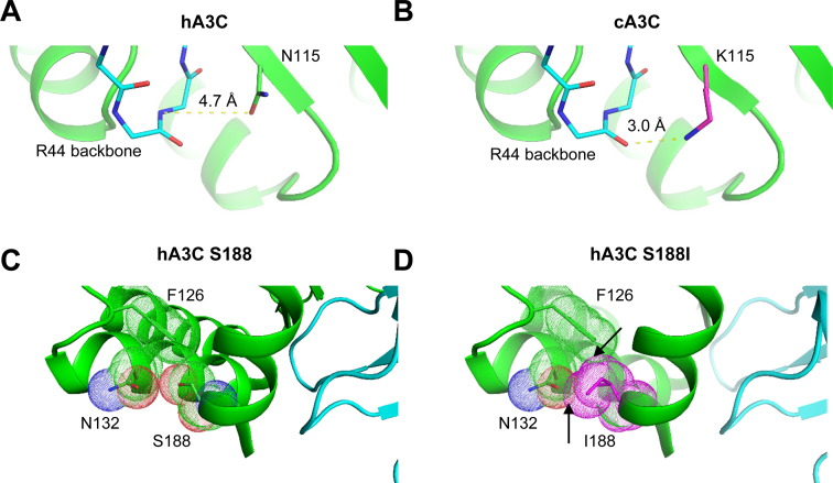 Figure 6.