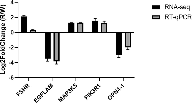 Figure 5