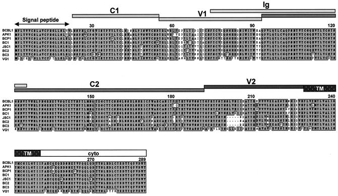 FIG. 7.