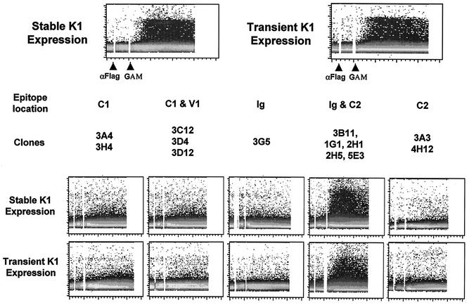 FIG. 4.