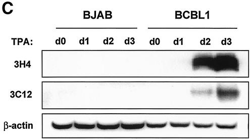 FIG. 6.