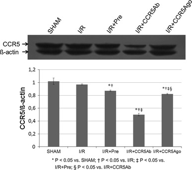 Fig. 7