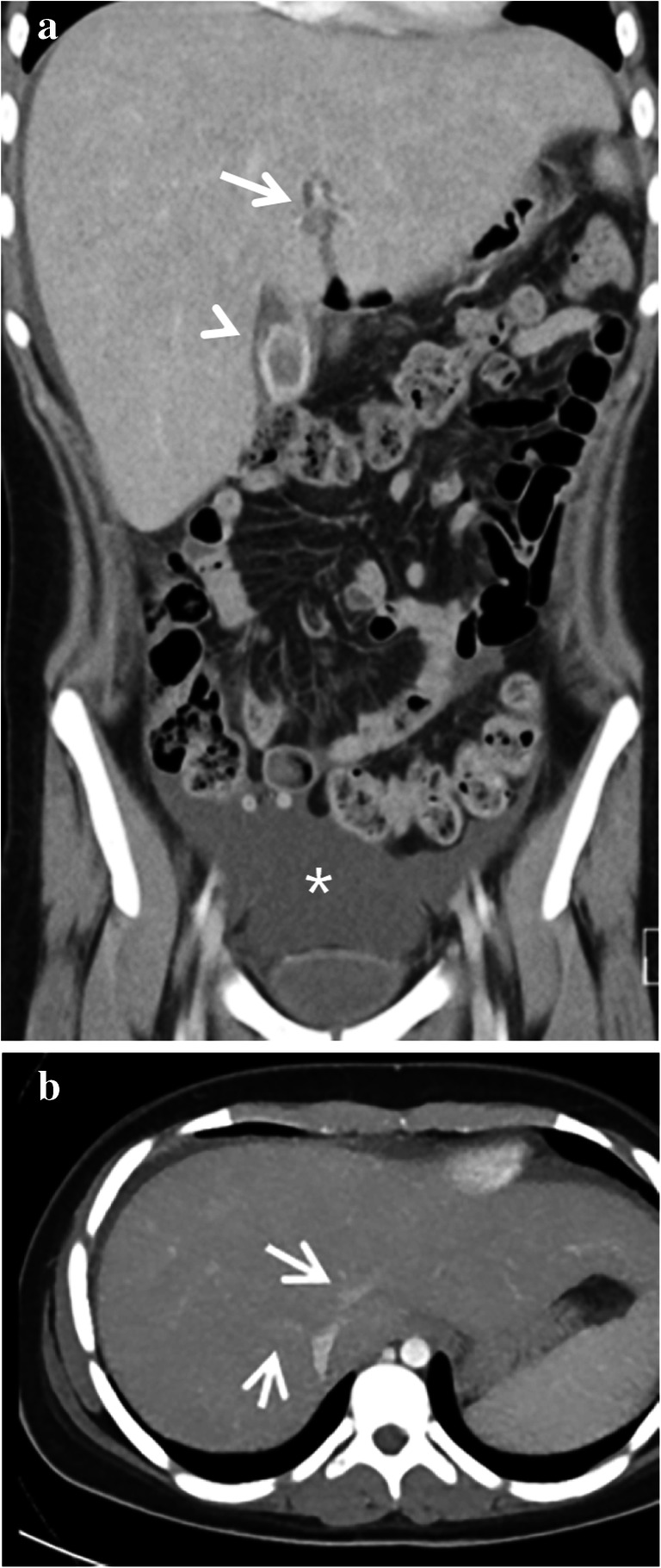 Fig. 5