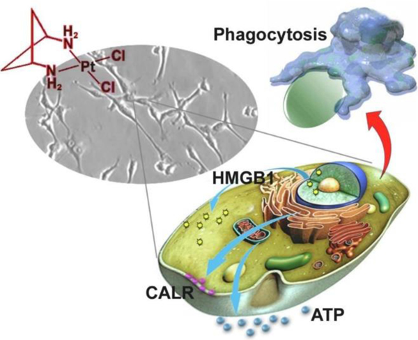 Figure 4: