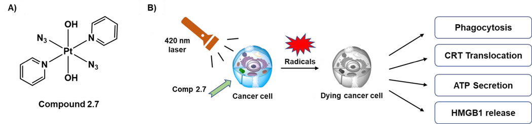 Figure 12: