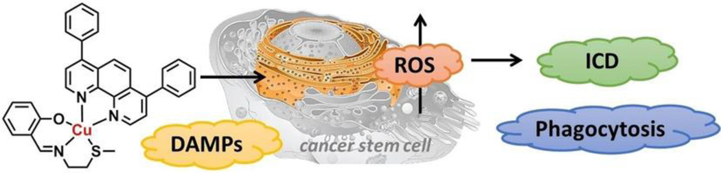 Figure 17: