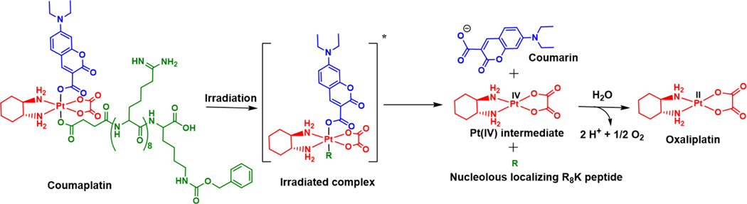 Figure 11: