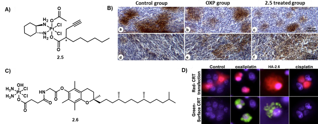 Figure 10: