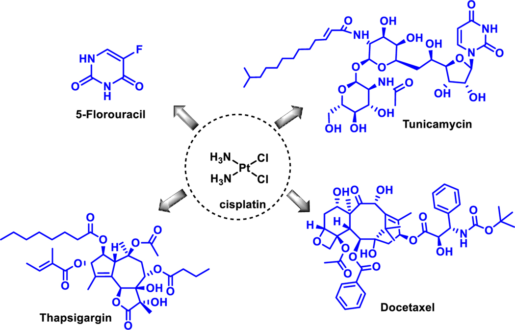 Figure 6: