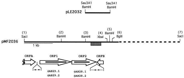 FIG. 1