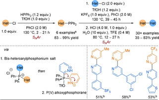 Scheme 30