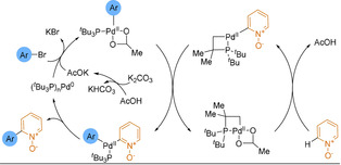 Scheme 39