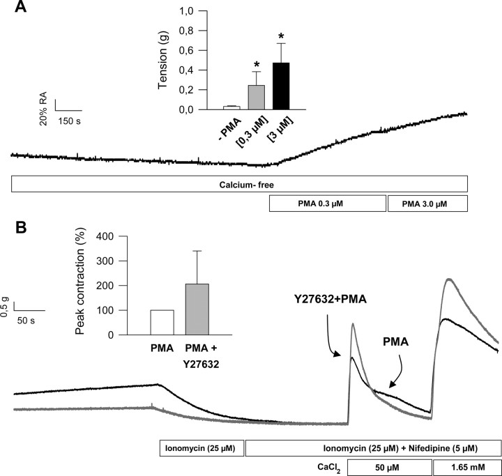 Fig. 10.