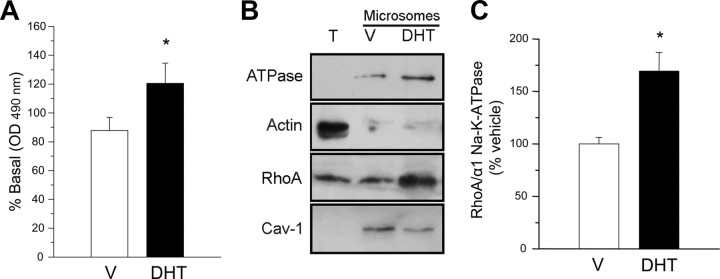 Fig. 11.