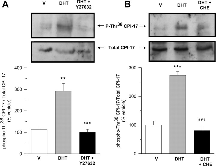 Fig. 9.