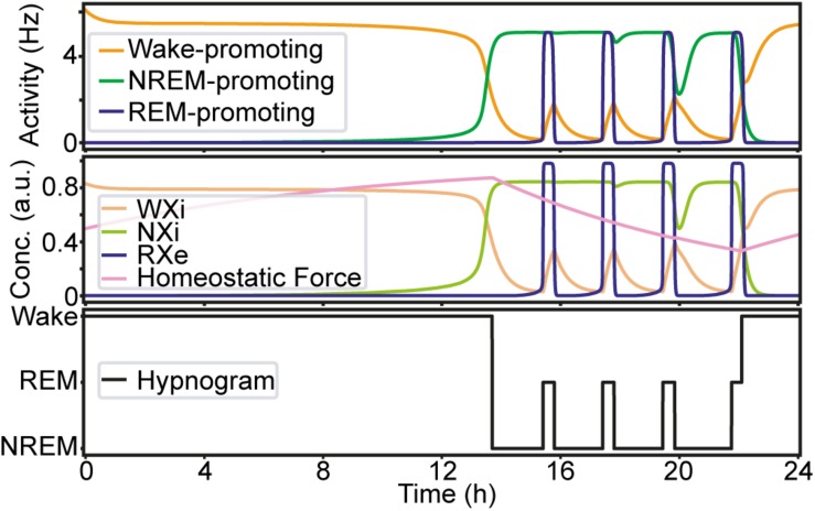 FIGURE 2