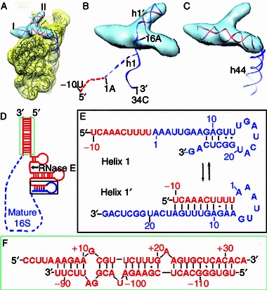 Figure 4