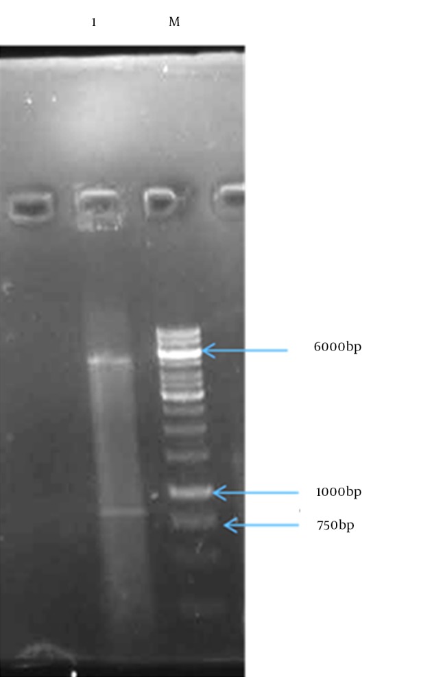 Figure 5.