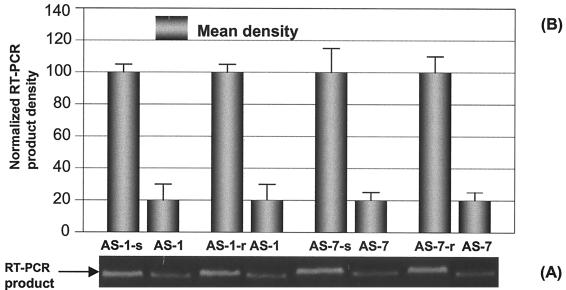 FIG. 7