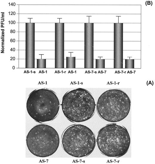 FIG. 9