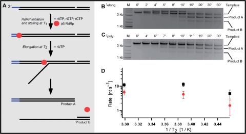 Figure 5.