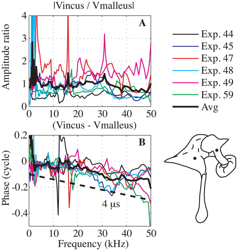 Fig. 8