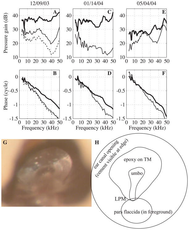 Fig. 10