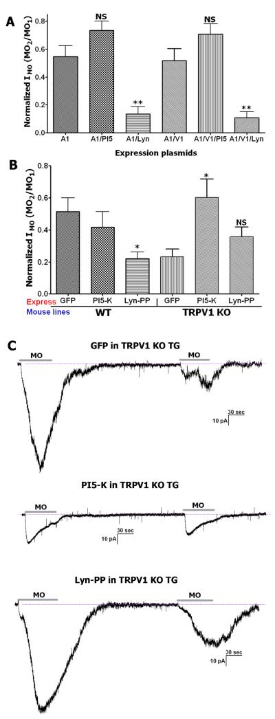 Figure 5