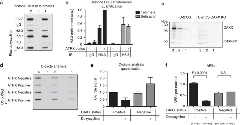 Suppression of the alternative lengthening of telomere pathway by the ...