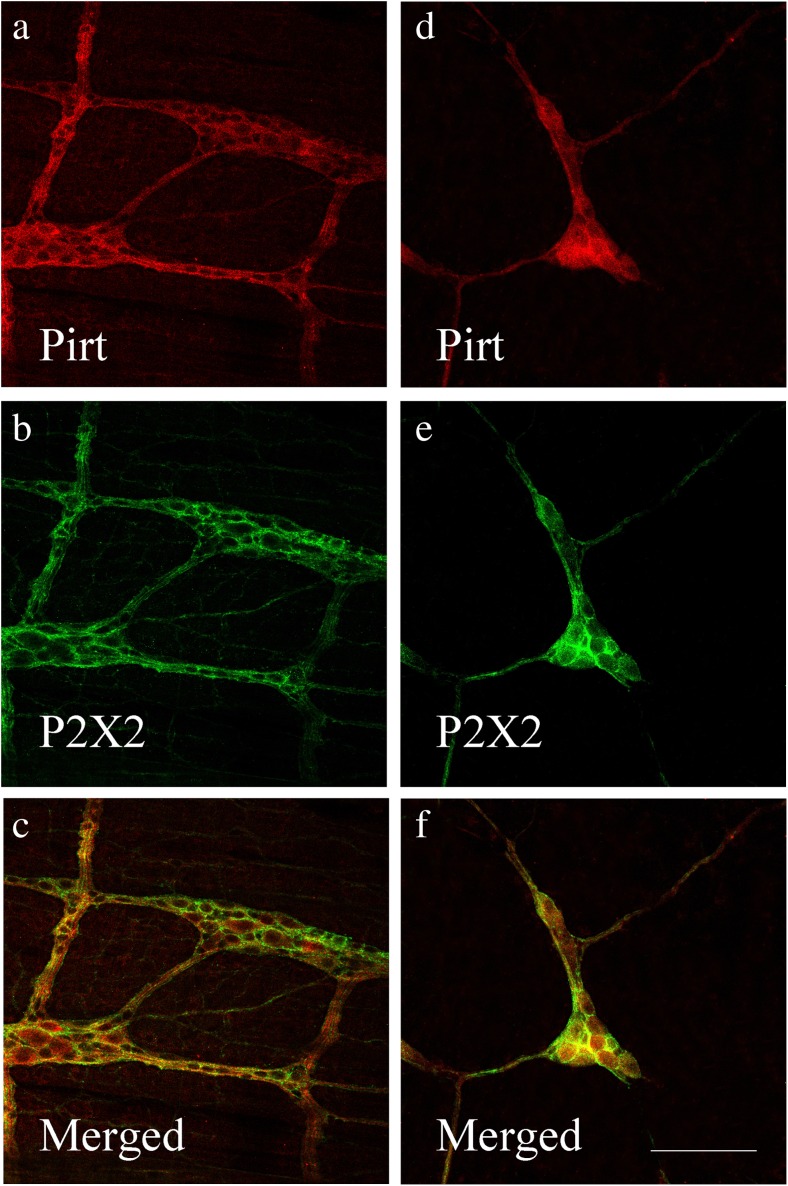 Fig. 8