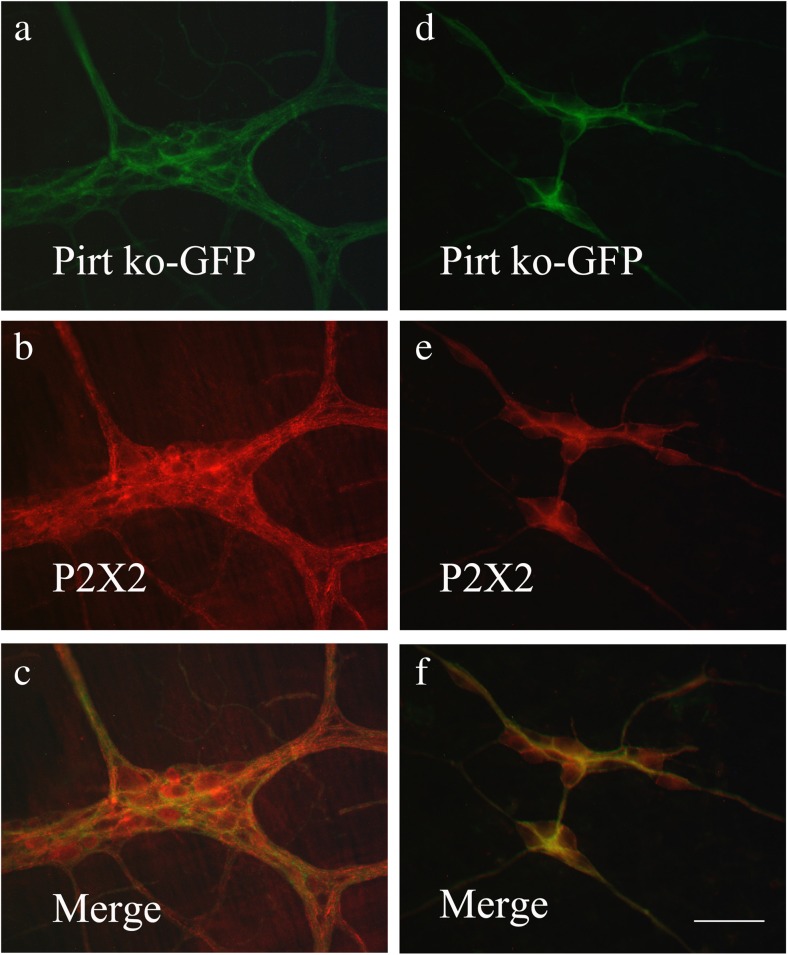 Fig. 9