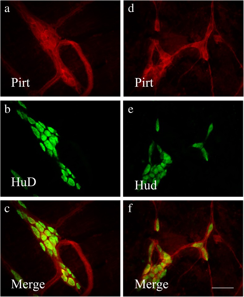 Fig. 10