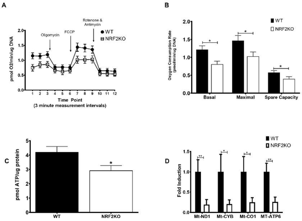 Figure 3: