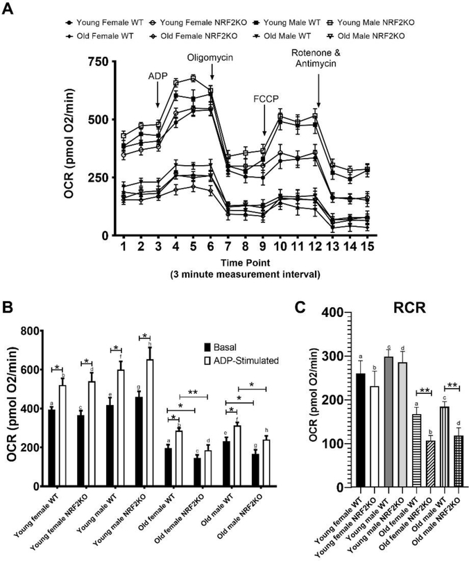 Figure 6: