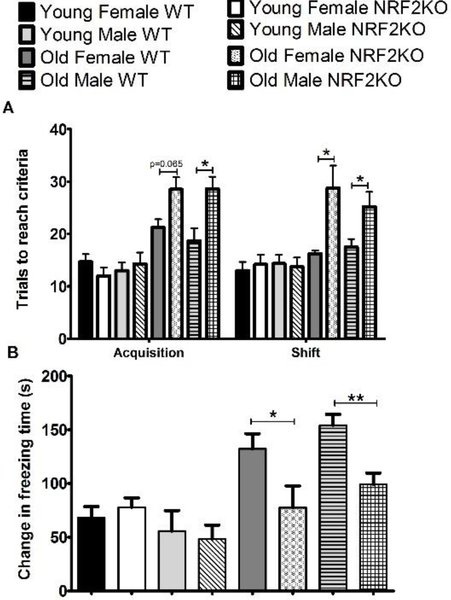 Figure 4: