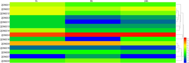 Fig. 7