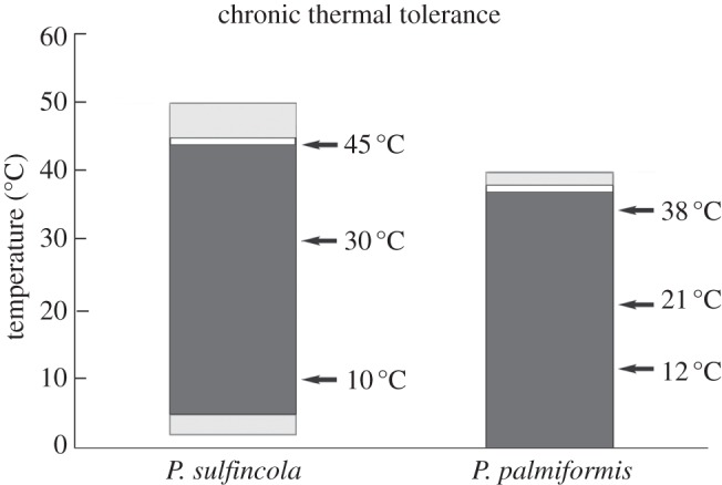 Figure 1.