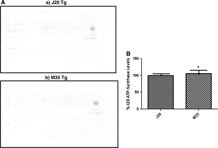 FIG. 4.