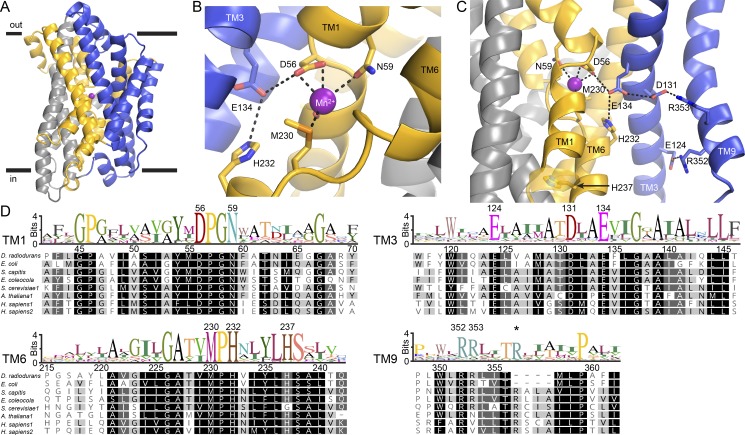 Figure 6.