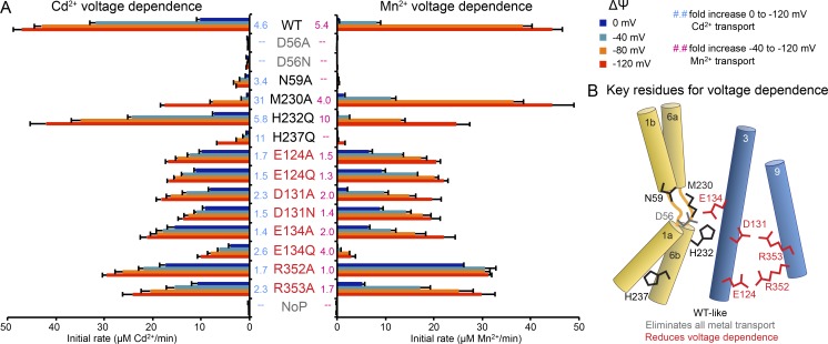 Figure 7.