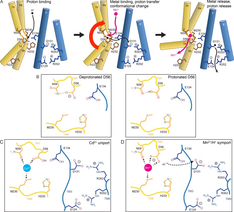 Figure 12.