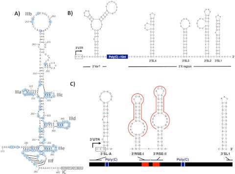 FIG 3 