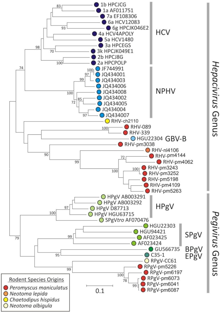 FIG 1 